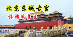 性感美少妇肉洞好紧好多水中国北京-东城古宫旅游风景区